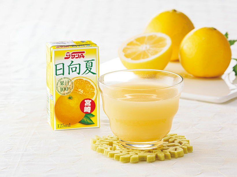 �{�茧�Y�@�����ĂP�O�O���W���[�X�i�Q�S�{�j