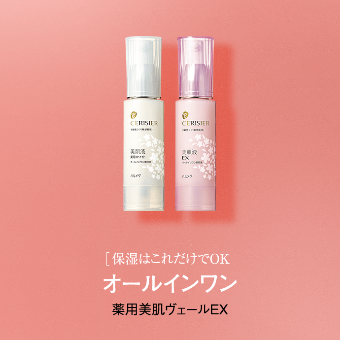 ダミーテキスト