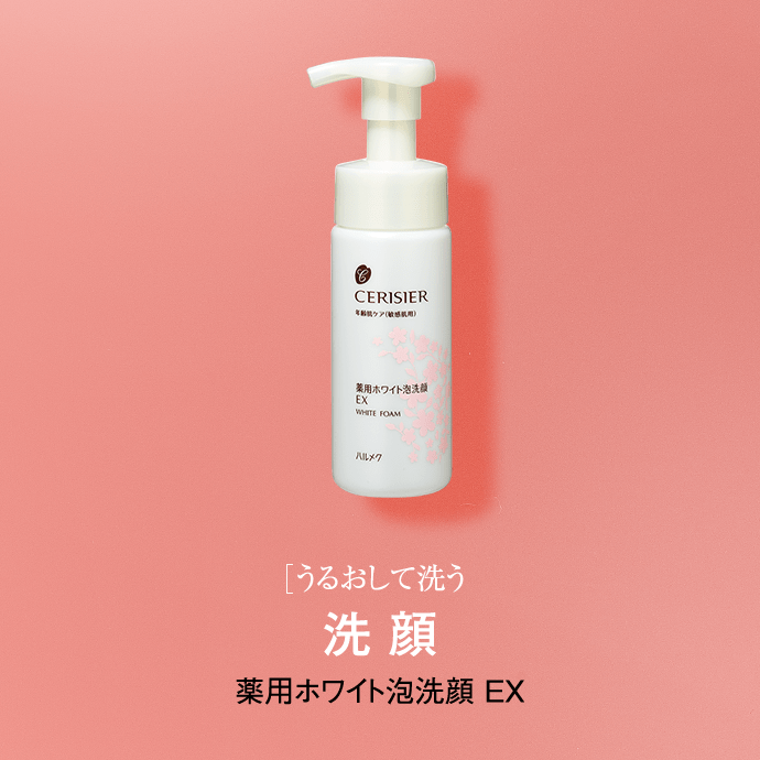 ダミーテキスト