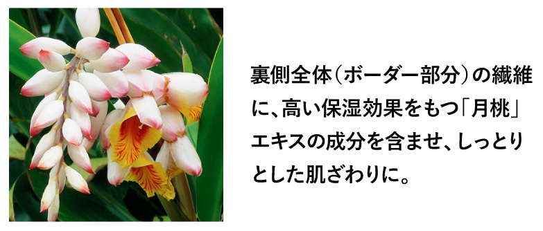 Śi{[_[j̑@ۂɁAێʂuvGLX̐܂܂AƂƂɁB