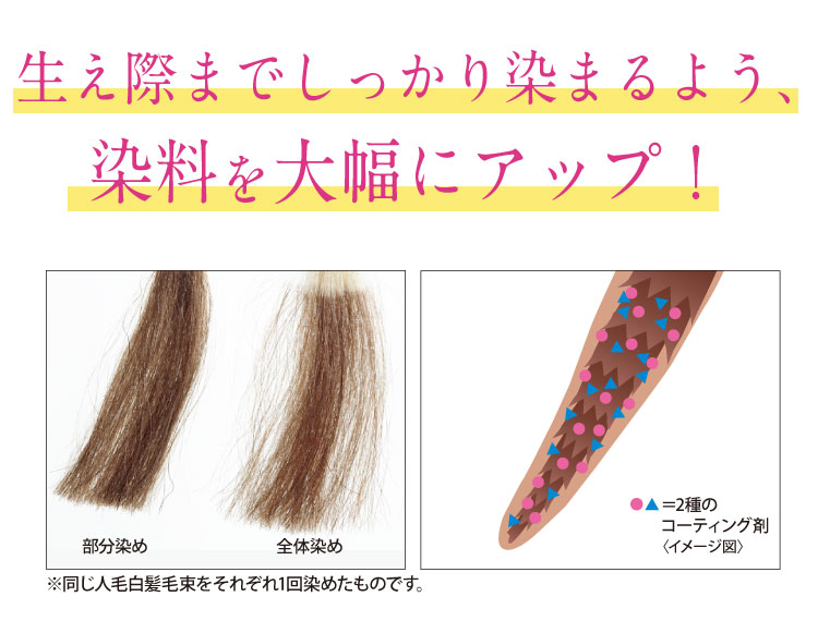 トリートメントベースのヘアカラー つや髪 公式 ハルメク通販サイト