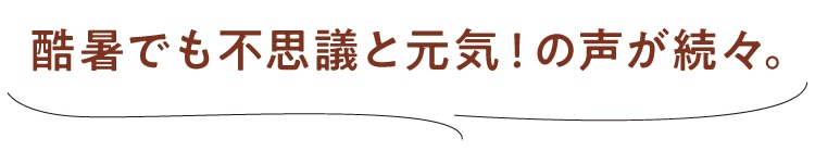 Ă̑̂邨A h{݂݂܂ŏ