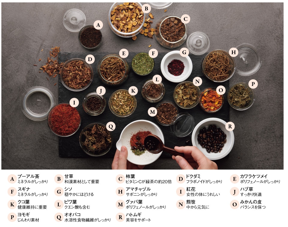 �a���P�W��̉h�{�����褐�����