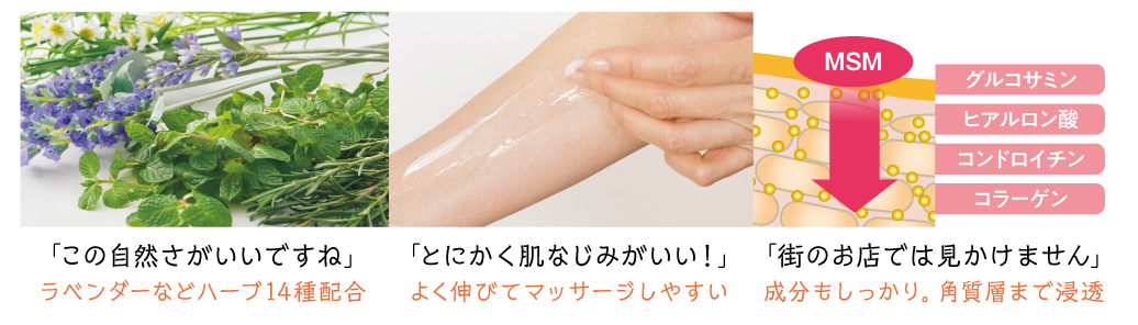 MSM��������������I