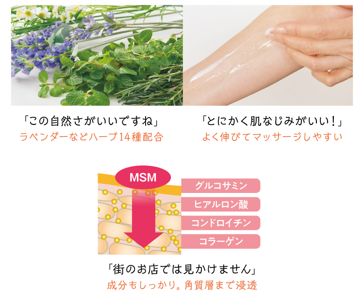 MSM��������������I