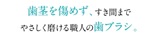 磨きやすい歯ブラシ6本セット