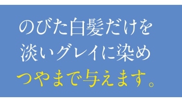 トリートメントベースのグレイカラー つや髪 プラチナグレイカラー 公式 ハルメク通販サイト