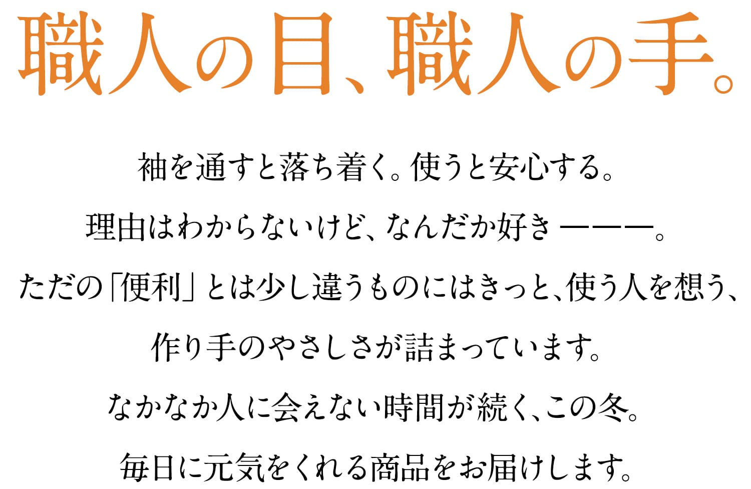 職人の目、職人の手。袖を通すと落ち着く。使うと安心する。理由はわからないけど、なんだか好きーーー。ただの「便利」とは少し違うものにはきっと、使う人を想う、作り手のやさしさが詰まっています。なかなか人に会えない時間が続く、この冬。毎日に元気をくれる商品をお届けします。