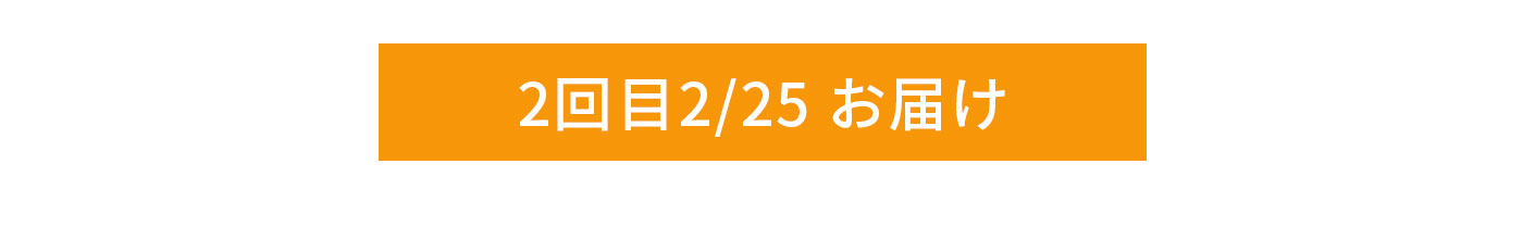 2回目 2/25お届け