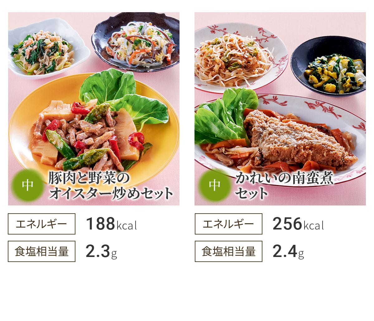 豚肉と野菜のオイスター炒めセット かれいの南蛮煮セット
