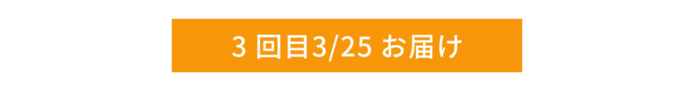 3 回目3/25 お届け