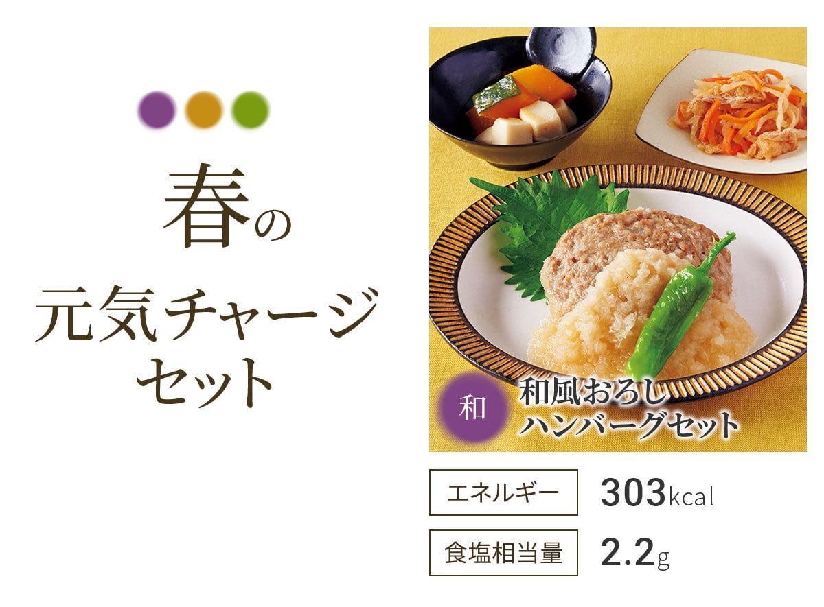 春の元気チャージセット 和風おろしハンバーグセット