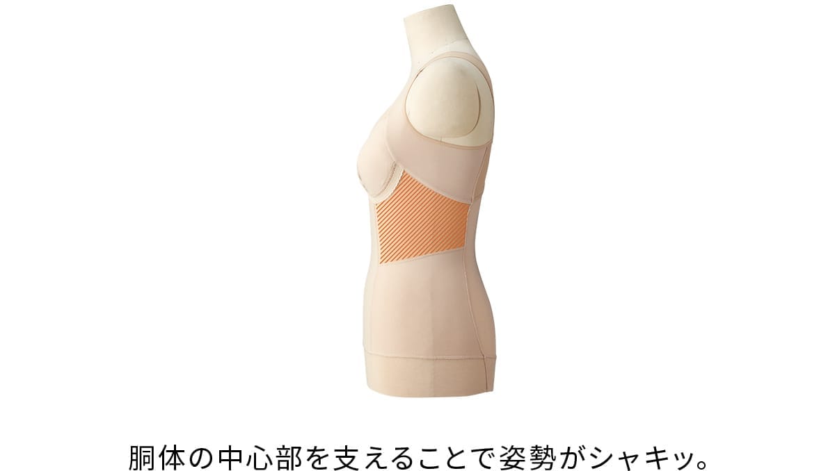 胴体の中心部を支えることで姿勢がシャキッ。