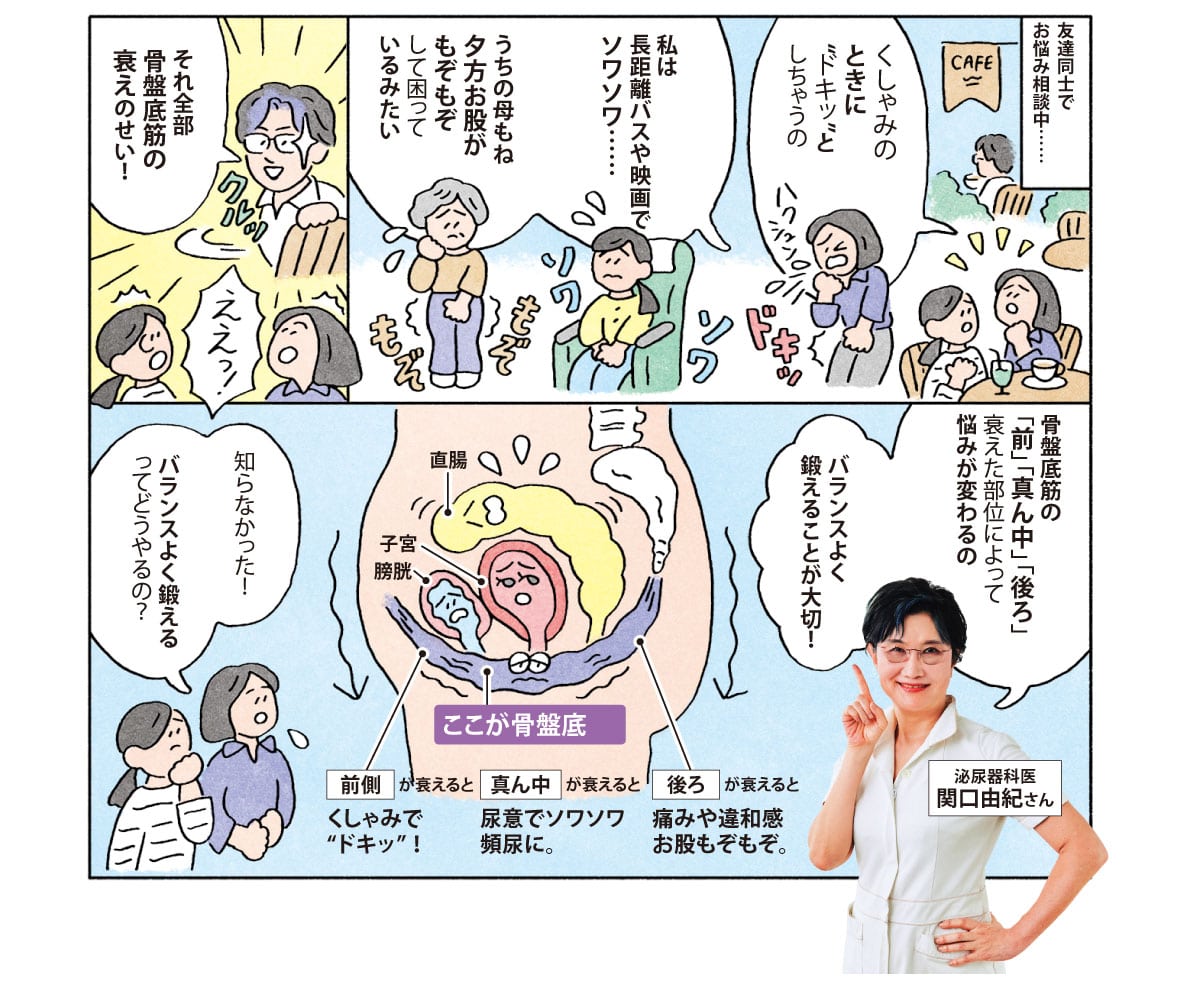 健康サポート・骨盤底筋サポートショーツ(涼やか綿メッシュ)