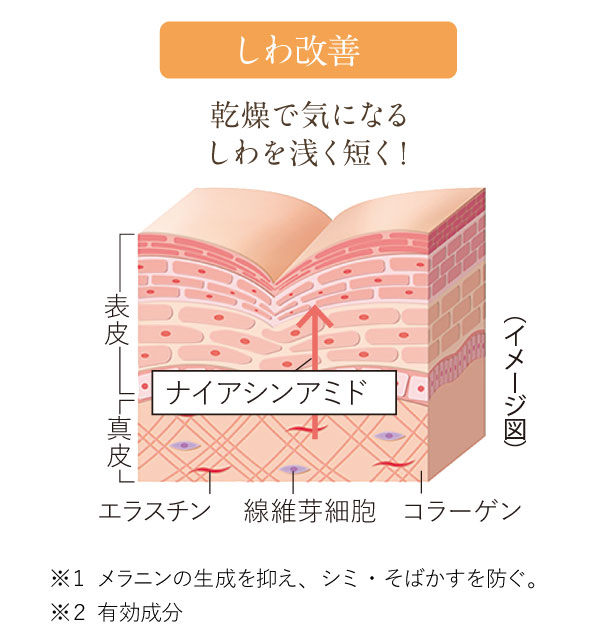 乾燥で気になるしわを浅く短く!