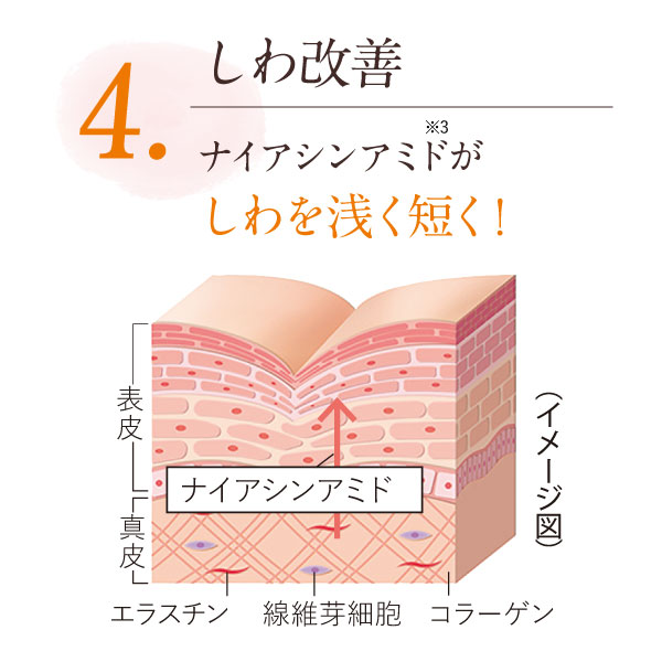 しわ改善ナイアシンアミドがしわを浅く短く!