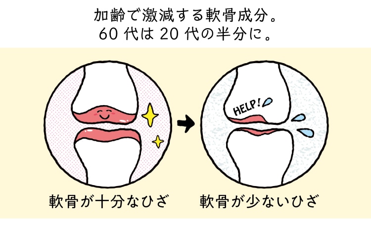 ����Ō������������B60���20��̔����ɁB