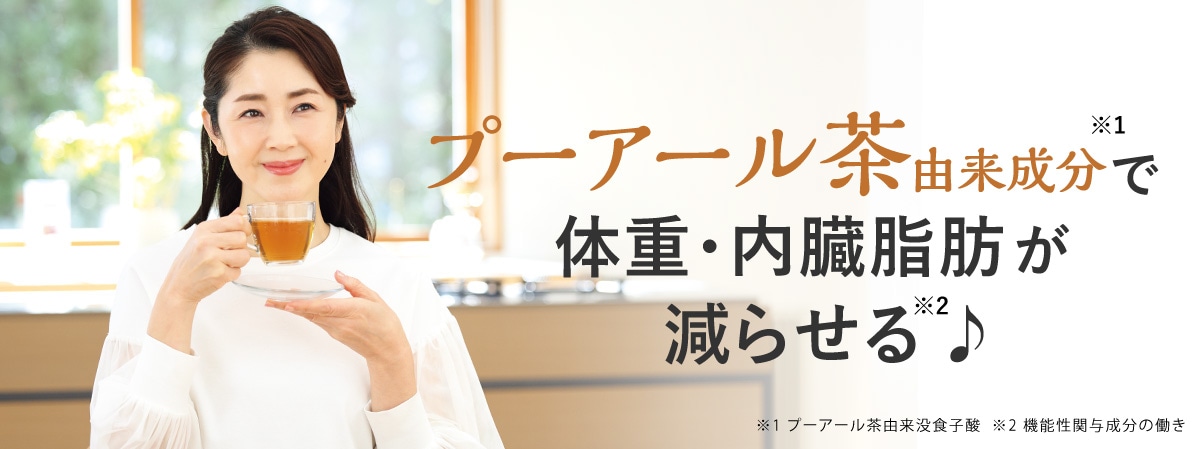 v[A[ő̏dEb点