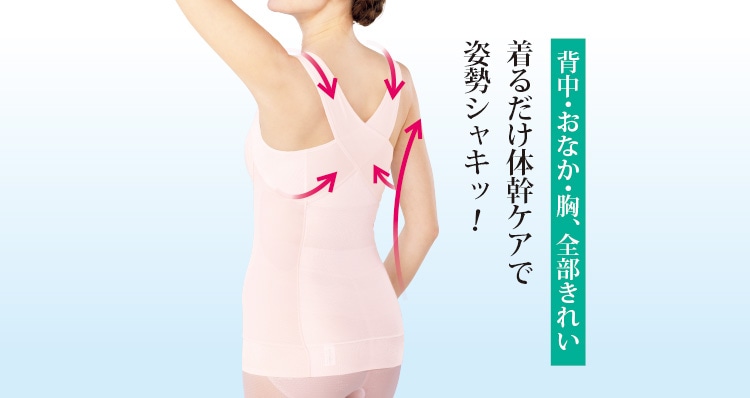 wȂASꂢI邾̊PAŎpVLbI