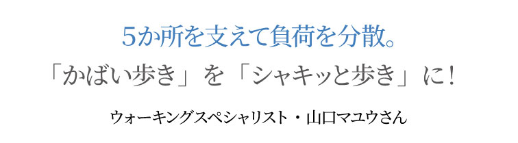 �T�������x���ĕ��ׂ𕪎U�B�u���΂������v���u�V���L�b�ƕ����v�ɁI