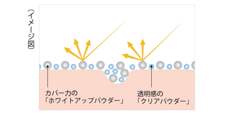 2種のパウダーでカバー力も透明感も!光を反射し、より美しく。