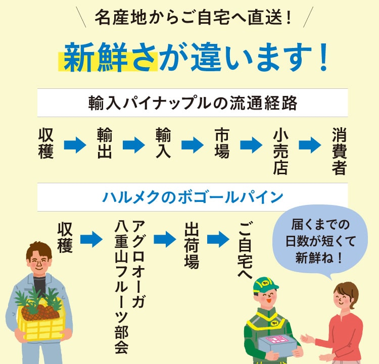 名産地からご自宅へ直送!