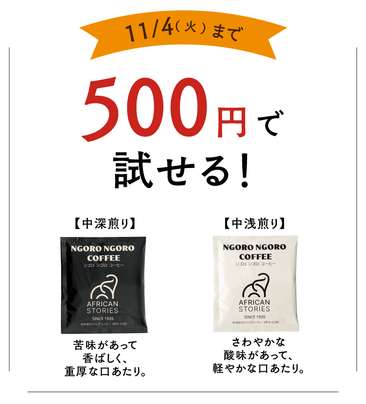 お試し500円