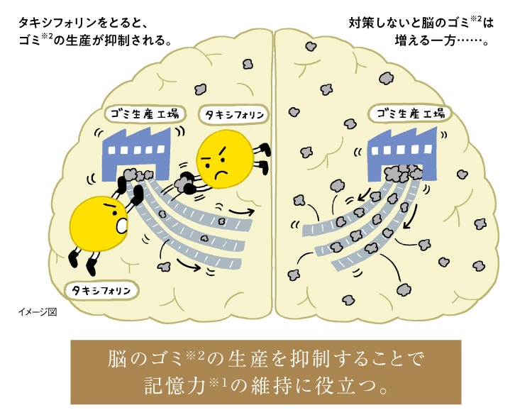 �^�L�V�t�H�������Ƃ�ƁA�S�~���Q�̐��Y���}�������B