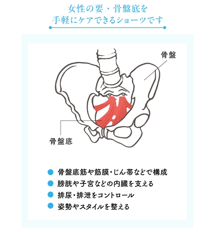 女性の要・骨盤底を手軽にケアできるショーツです