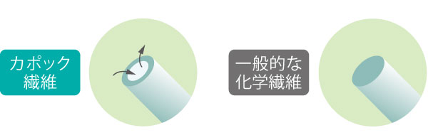 カポック繊維