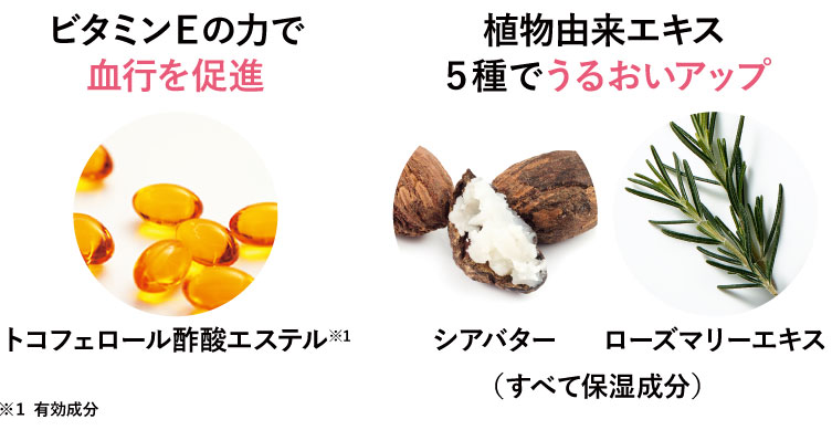 ビタミンEの力で
血行促進。有効成分の甘草で唇の荒れを防ぐ。