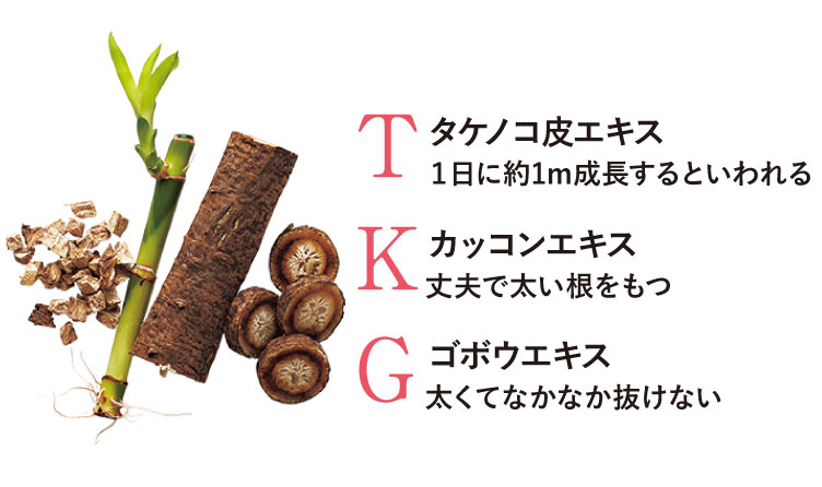 タケノコ皮エキスカッコンエキスゴボウエキス