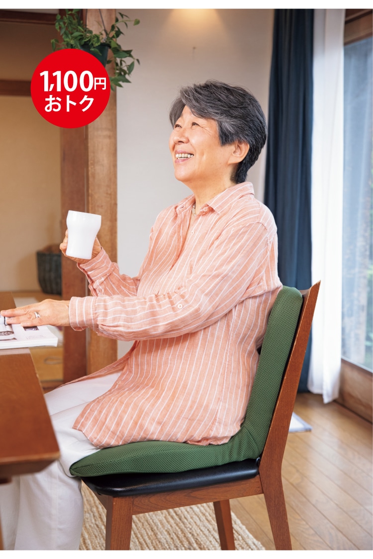 pinto 置くだけラクッション ビューティー Hi(専用カバー付き)