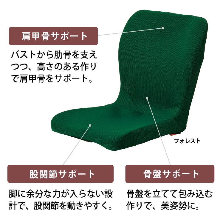 pinto 置くだけラクッション ビューティー Hi(専用カバー付き)