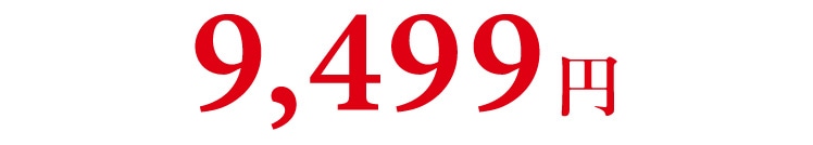 mO͎YȂ9,499~