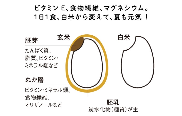 ビタミンE、食物繊維、マグネシウム。