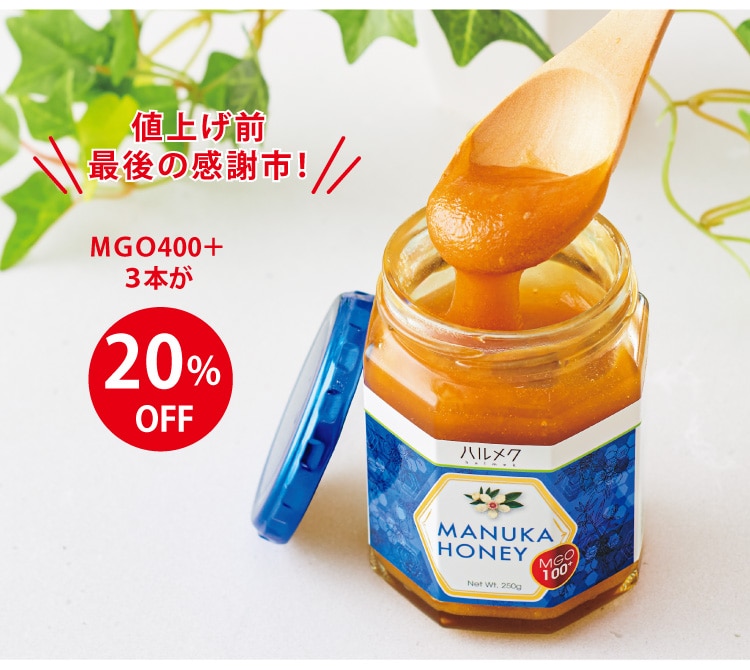 値上げ前、最後の感謝市!