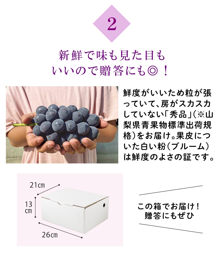 新鮮で味も見た目もいいので贈答にも◎ !