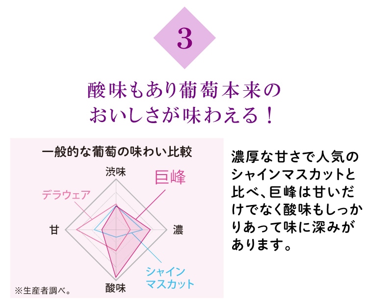 酸味もあり葡萄本来のおいしさが味わえる!