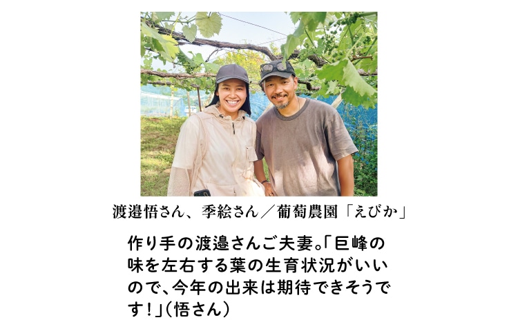 渡邉悟さん、季絵さん/葡萄農園「えびか」