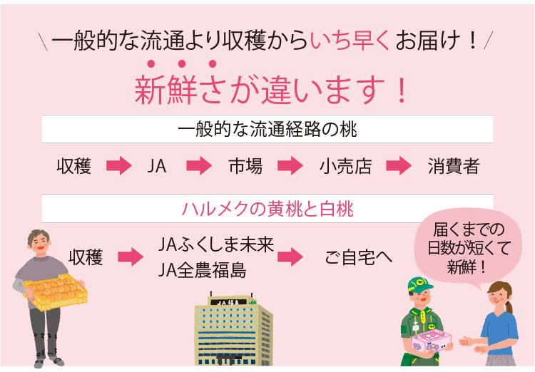 一般的な流通より収穫からいち早くお届け!
