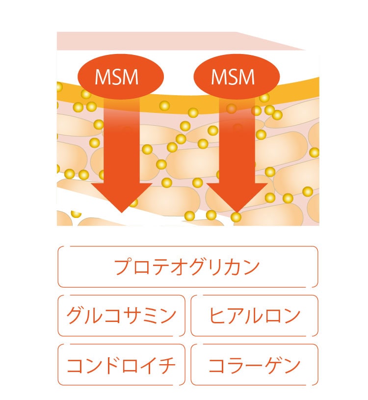 「街のお店では見かけません」