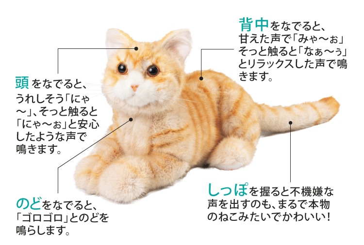 4つの鳴き声