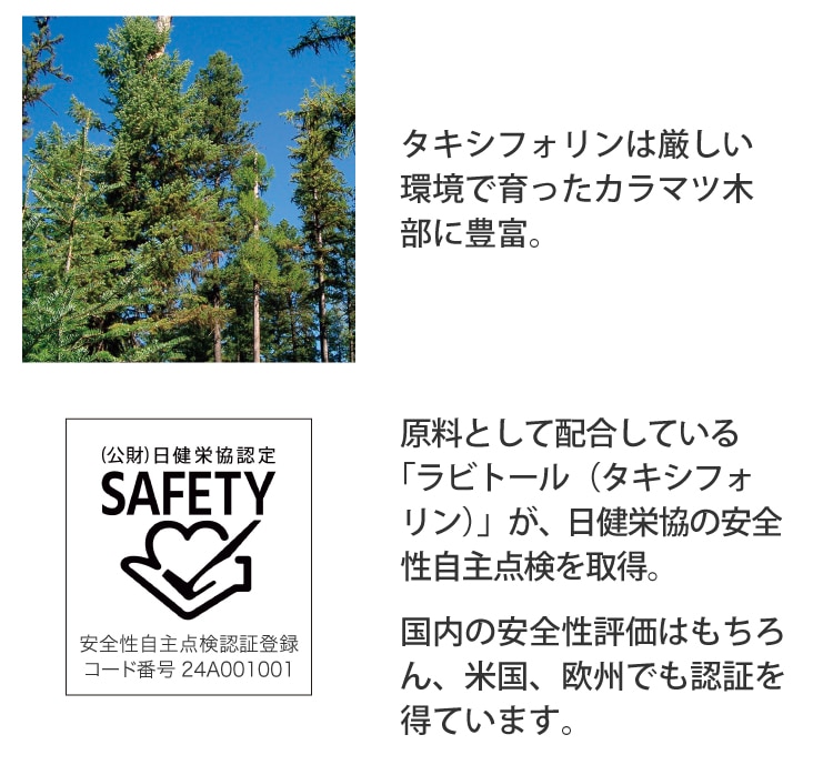 ここが違うポイント