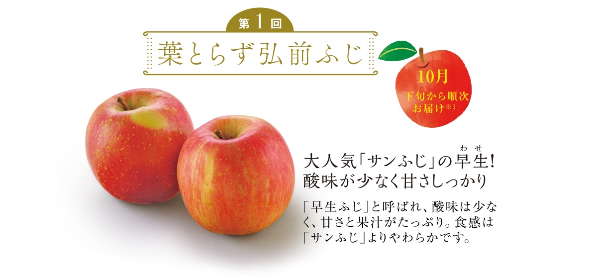 tƂ炸OOӂ