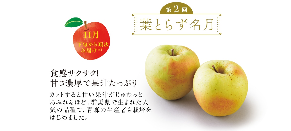 tƂ炸