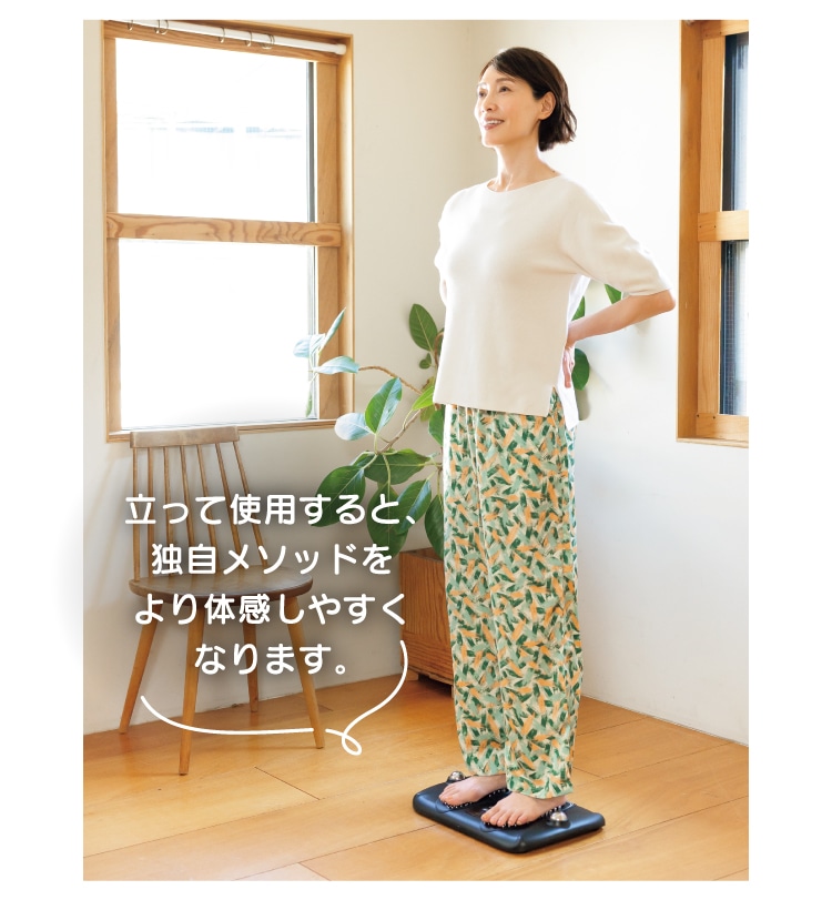 v EMS plus