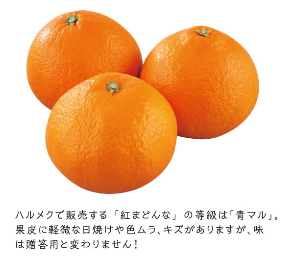 ڂ͏łA͑pƕς܂