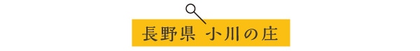 쌧 ̏