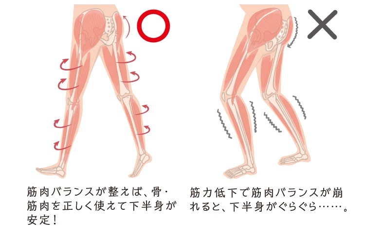 筋肉バランスが整えば、骨・筋肉を正しく使えて下半身が安定!